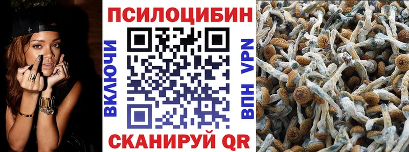 ссылка на мегу ONION Елизово Галлюциногенные грибы Magic Shrooms